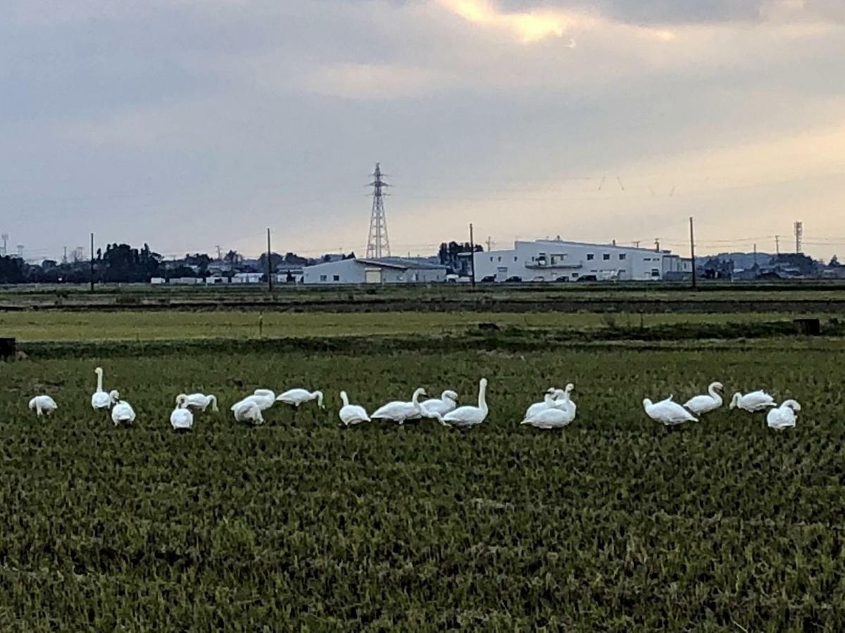 Iwamuro Slow Hostel Niigata Dış mekan fotoğraf
